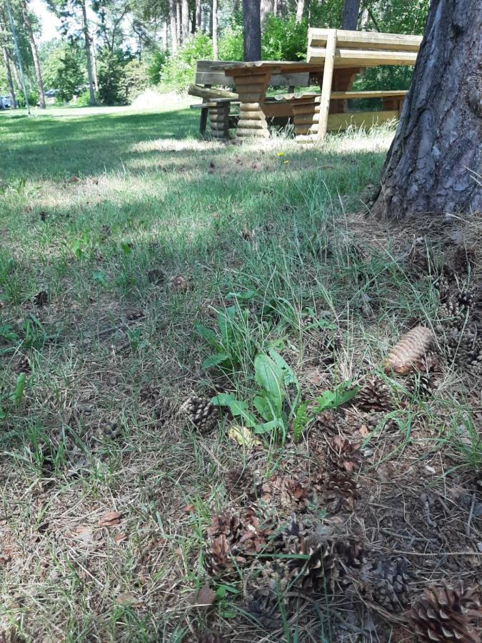 Country Camp Camping Diana Heide Hotel Amen Exterior photo